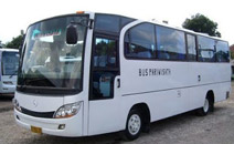 Medium Bus 29 Seat